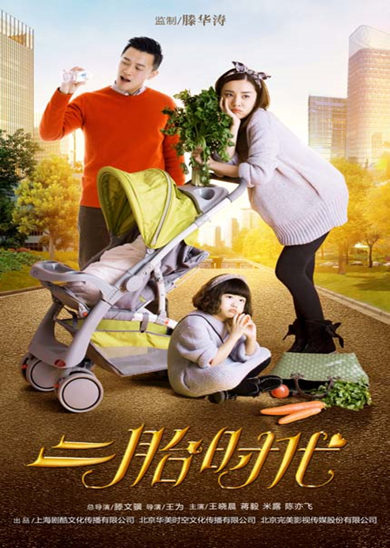 二胎时代dvd版thetwogenerationera电视剧