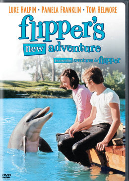 海豚新历险记