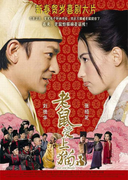 老鼠爱上猫（2003）