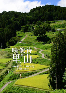 映像诗日本里山神秘水上花园