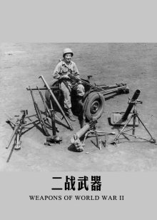二战武器海报
