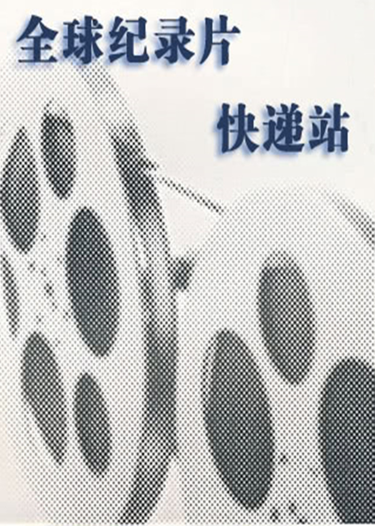 全球纪录片快递站