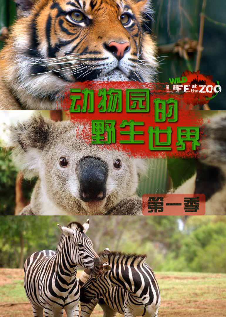 动物园的野生世界 第一季(wild life at the zoo season 1)