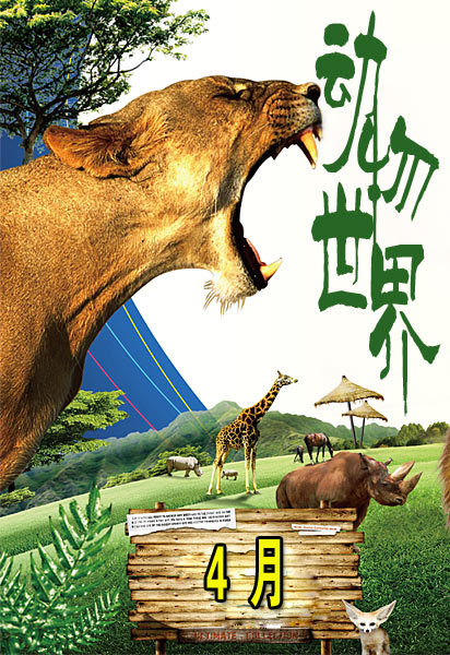 动物世界(4月)(animal world)-纪录片-腾讯视频