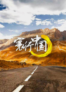 寰行中国3海报
