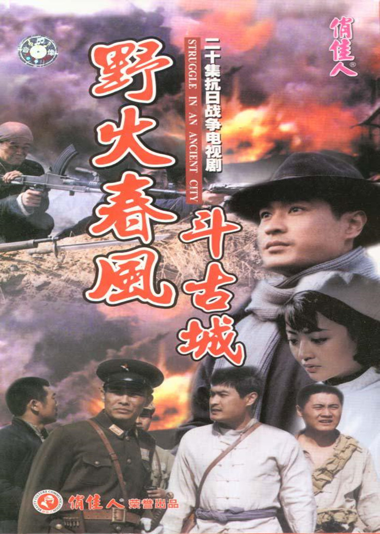 野火春风斗古城封面图