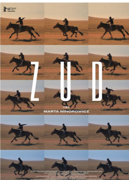 草原上的男孩封面图