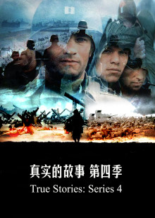 真实的故事第四季海报