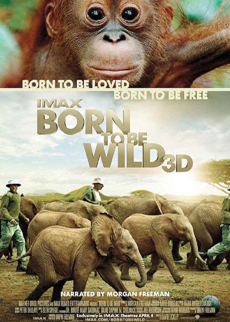 天生狂野borntobewild电影
