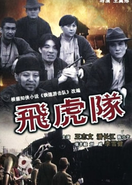 飞虎国语版
