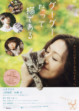 咕咕是一只猫第一季