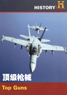 顶级枪械海报