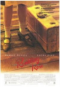 百日蔷薇 腾讯视频