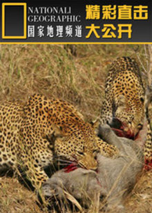 精彩直击大公开