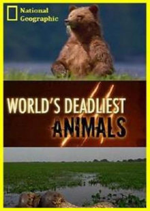 动物杀手第二季