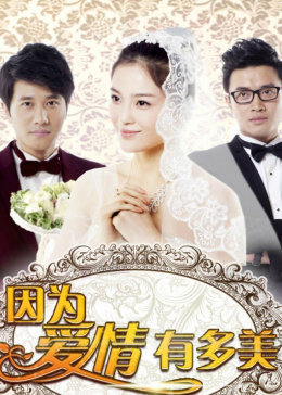 因为爱情有多美DVD