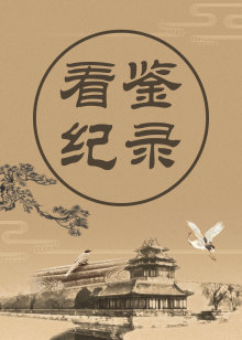 看鉴纪录海报