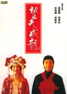 望夫成龙手机电影