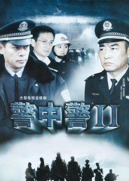 警中警2