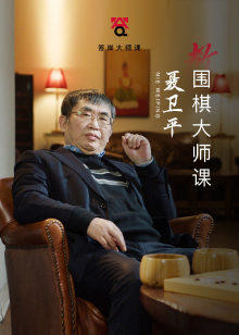 聂卫平围棋大师课海报