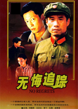 [图]无悔追踪(普通话/原版/1995)电视剧