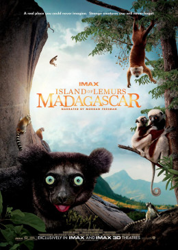 马达加斯加:狐猴之岛