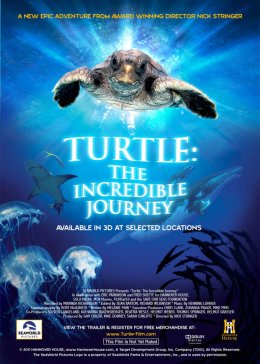 海龟:奇妙之旅