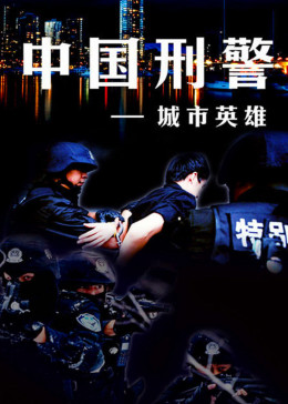 [图]中国刑警之城市英雄(普通话/原版/2002)电视剧