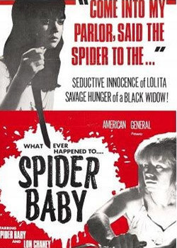 蜘蛛宝宝,或你所听说过最疯狂的故事