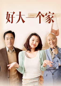 好大一个家封面图