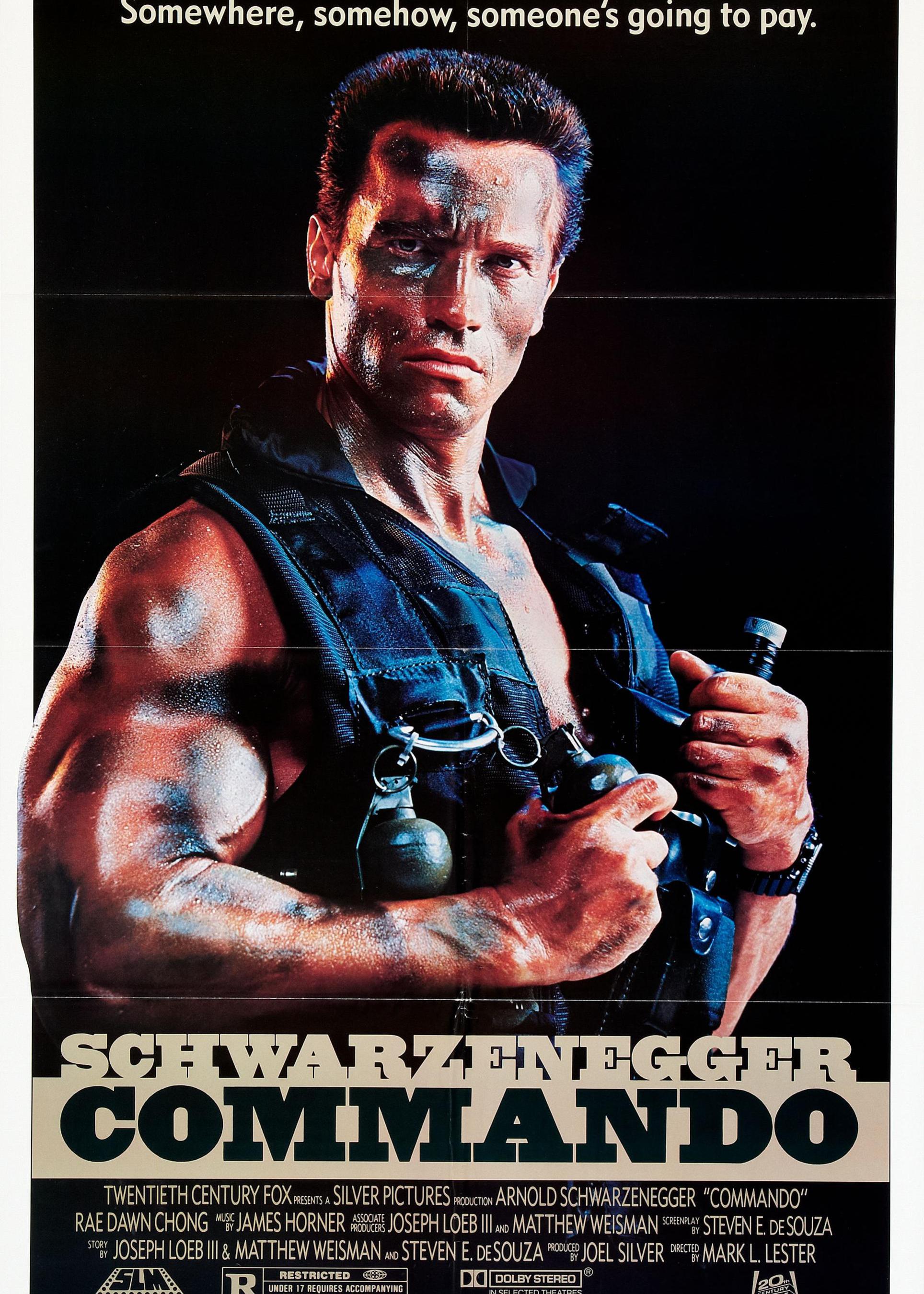 1独闯龙潭commando电影别 名:魔鬼司令 突击队员地 区:美国语 言:英语