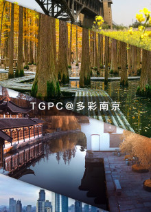 多彩南京海报