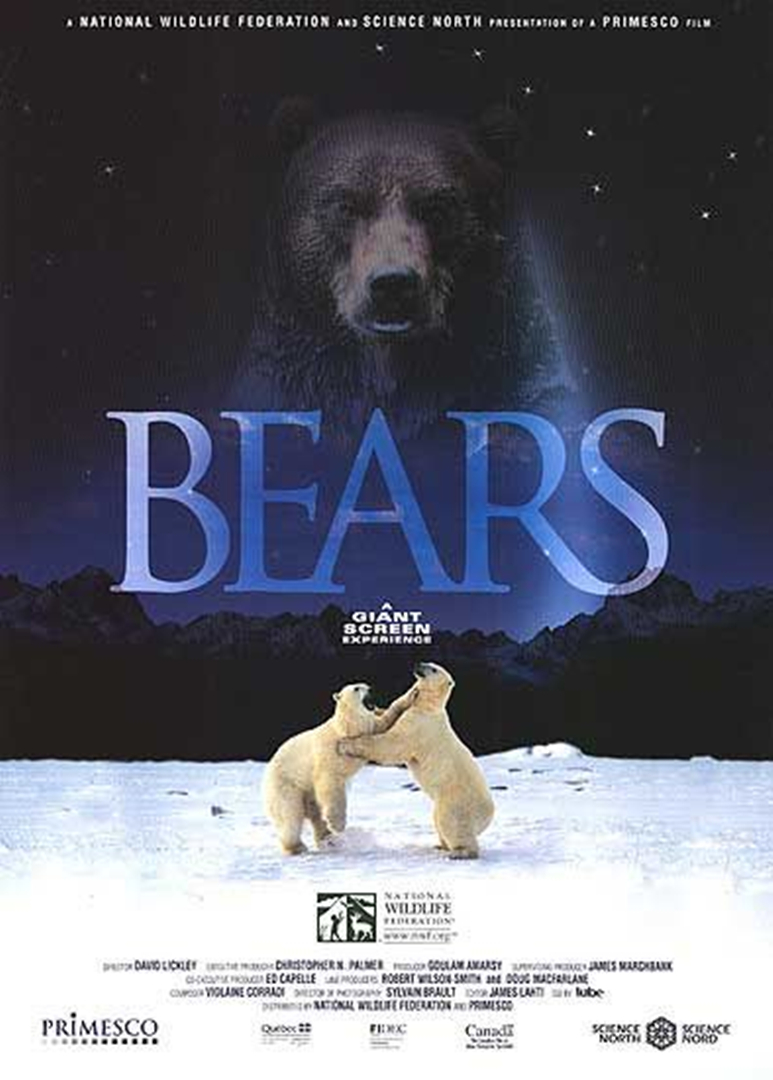 bears纪录片图片