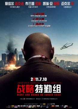 战略特勤组2010