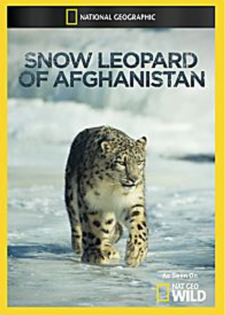 阿富汗雪豹