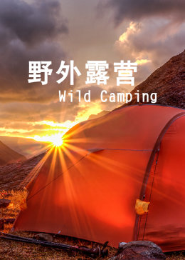 露营俱乐部