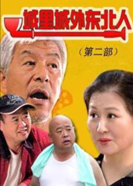城里城外东北人 第二部