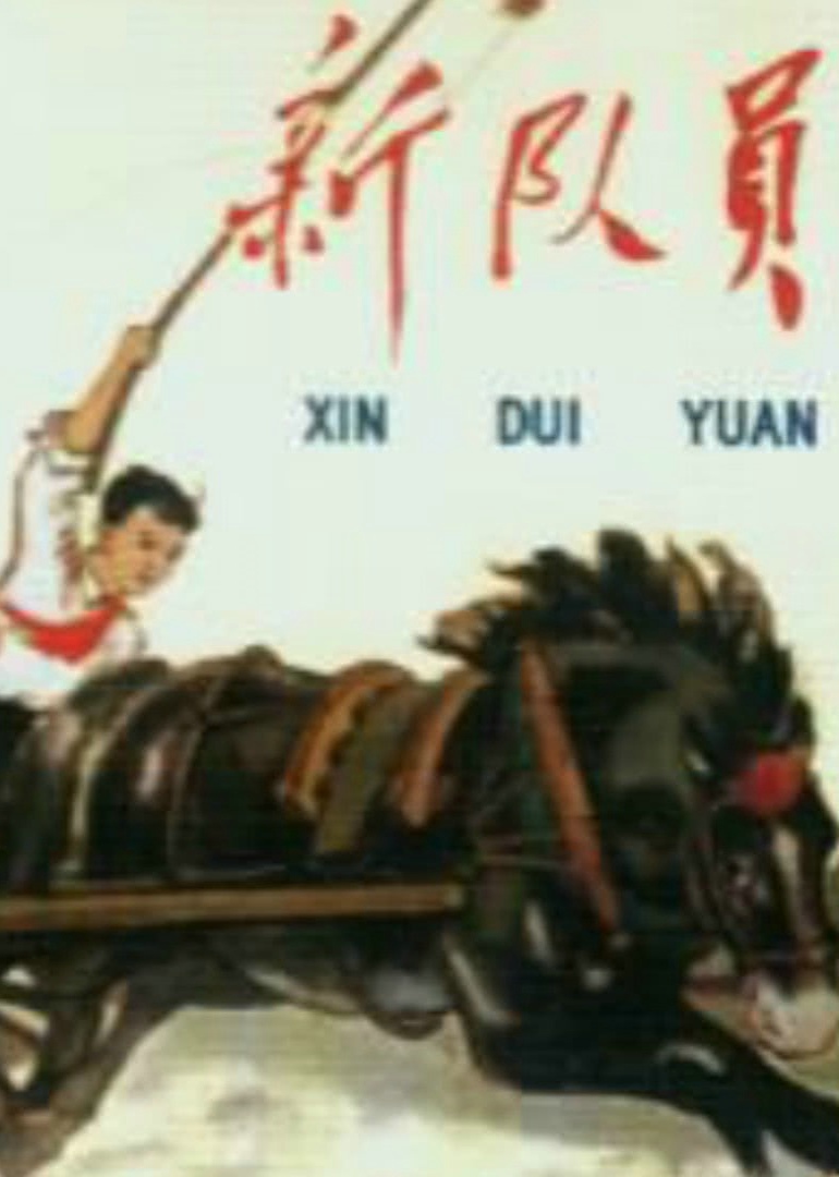兽魂无双