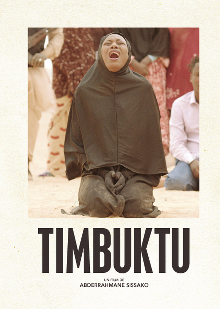 廷巴克图(le chagrin des oiseaux)-电影-腾讯视频