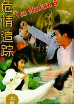 [图]危情追踪(普通话/原版/1996)电影