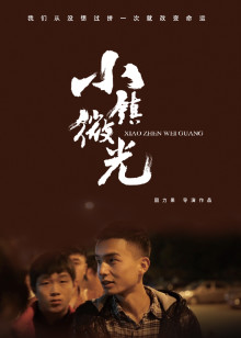 小镇微光海报