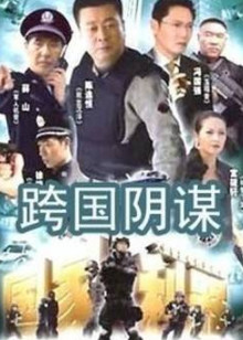 2018国产剧《跨国阴谋》迅雷下载_中文完整版_百度云网盘720P|1080P资源