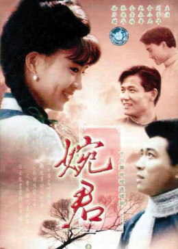 [图]婉君(普通话/原版/1990)电视剧