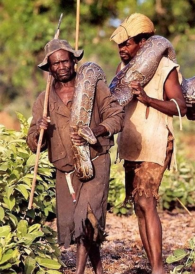 十大人兽pk瞬间-纪录片-腾讯视频