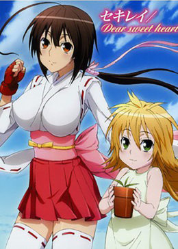 鹦鹉女神 tv版 第2季