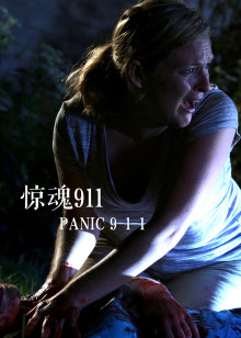 惊魂911海报