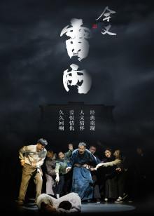 今又雷雨纪录片