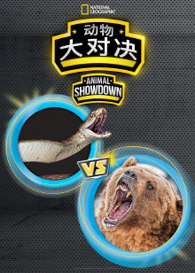 动物大对决