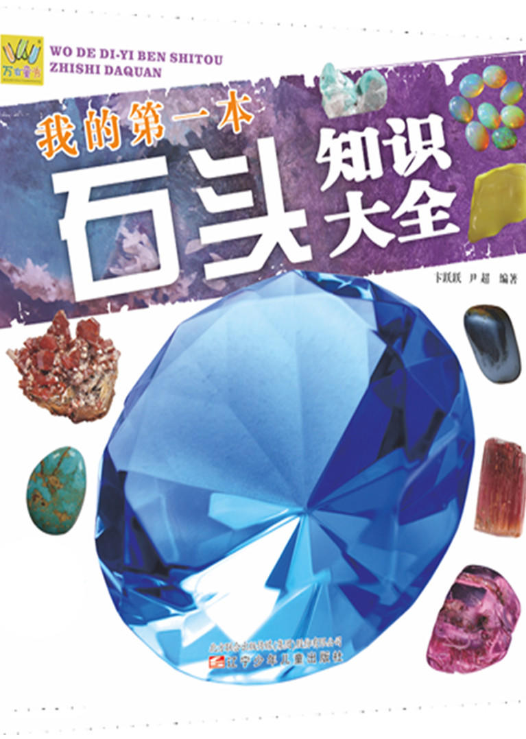 我的第一本石头知识大全