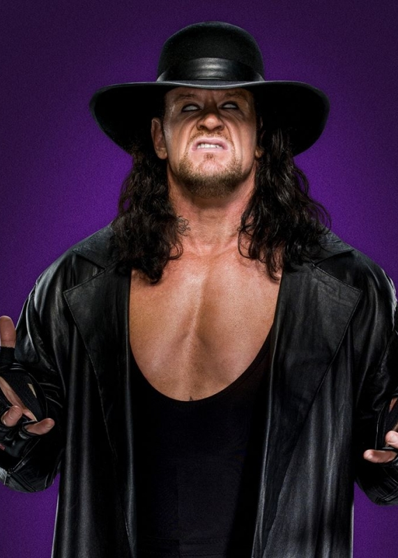 wwe群英传wwe经典回顾盘点送葬者传奇职业生涯中的伟大比赛